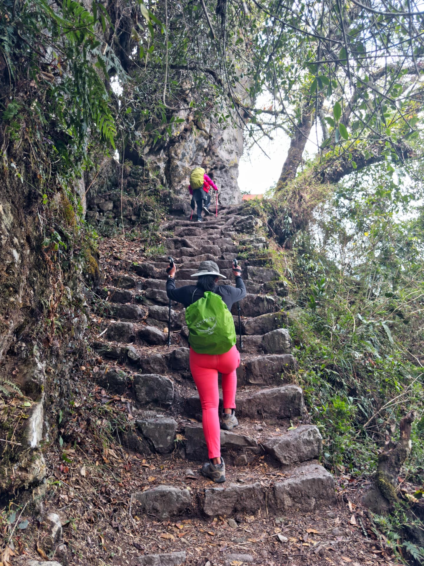 1 Day Inca Trail