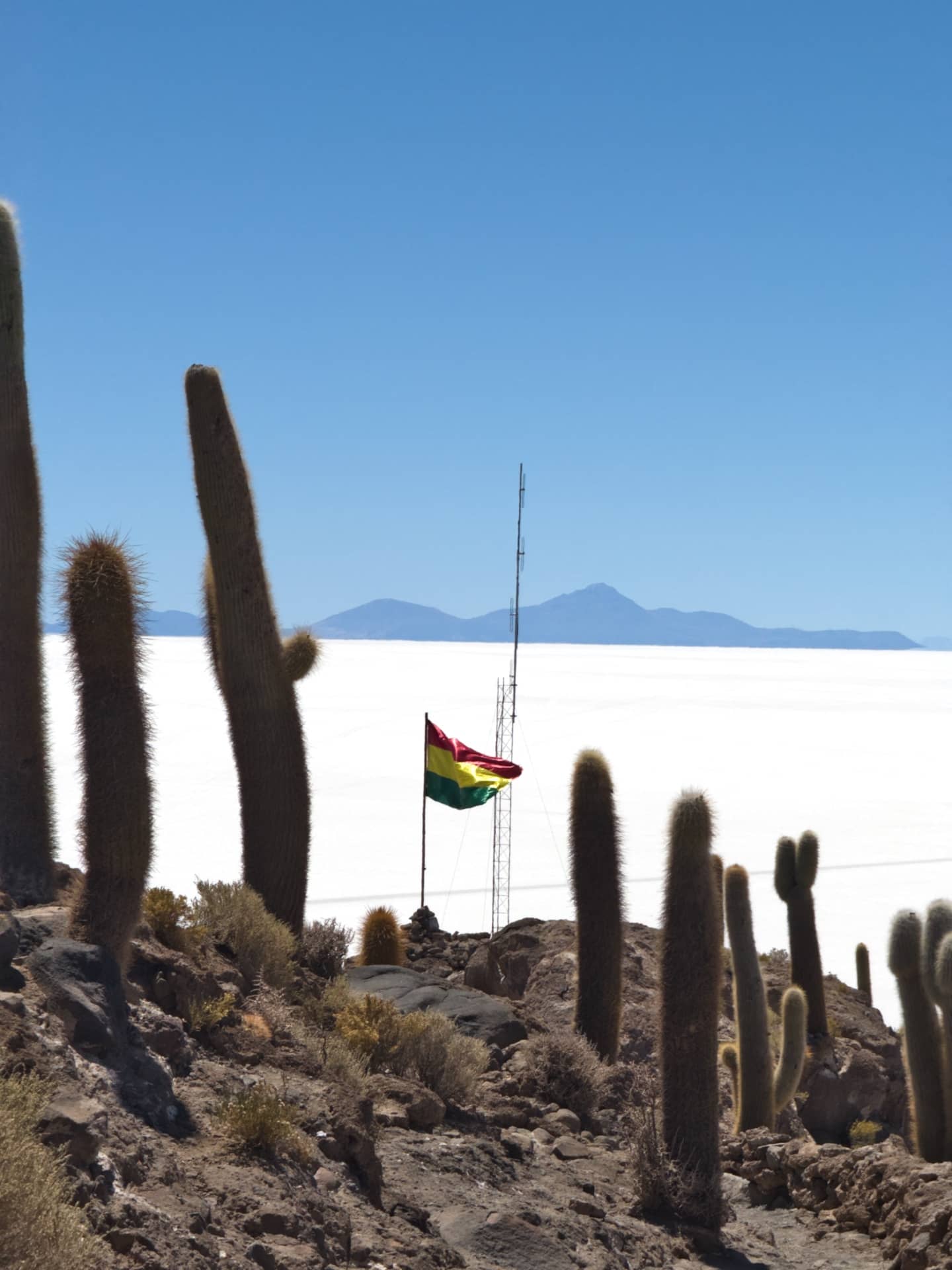 Incahuasi Island