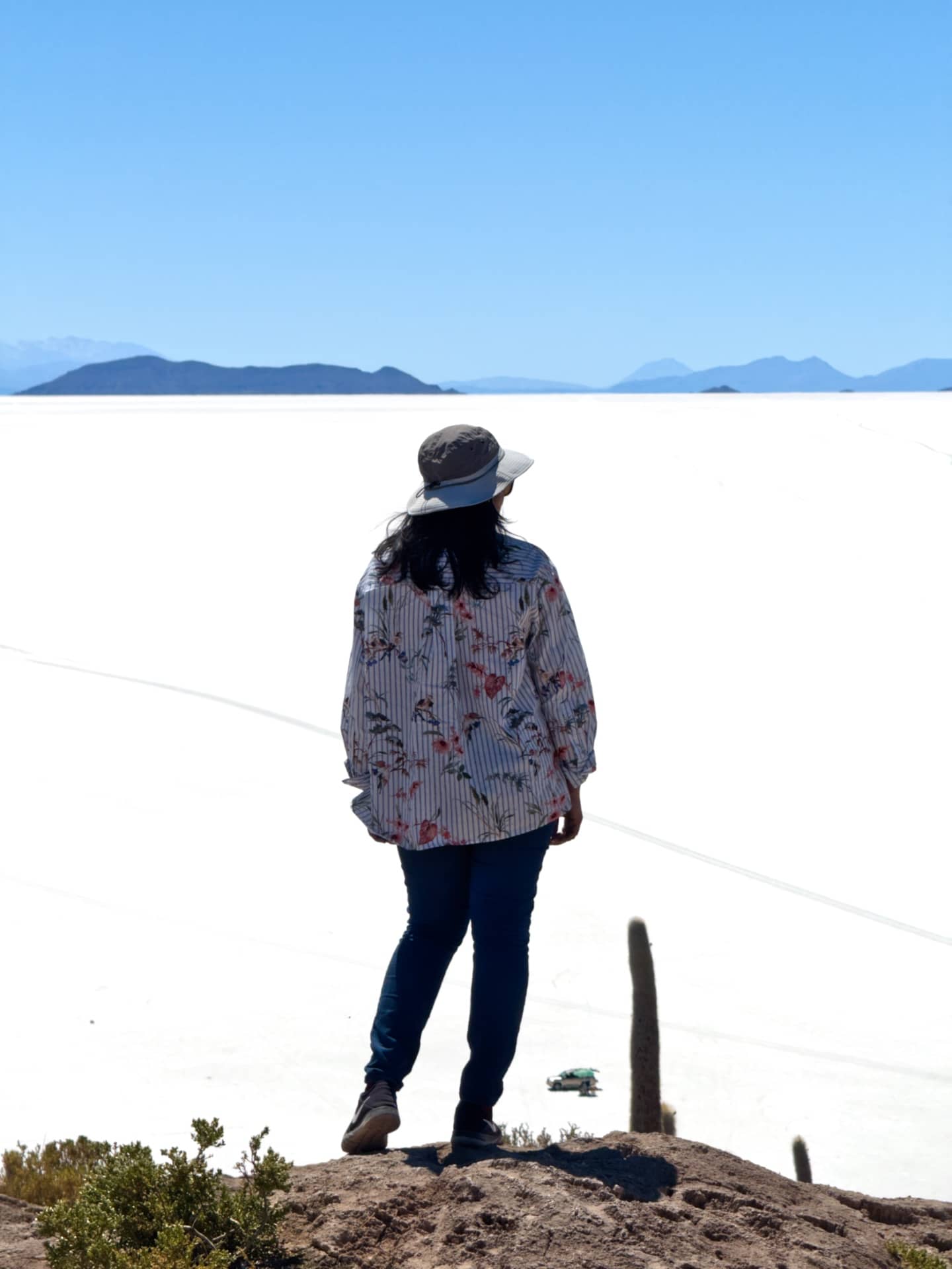 Incahuasi Island
